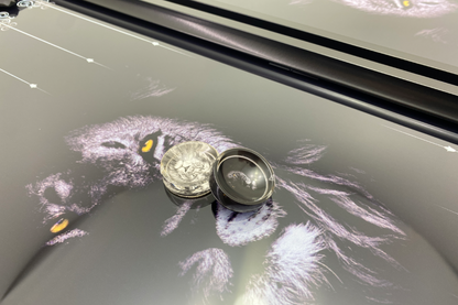 בלעדי: "האריה" — גבק ממולא זכוכית