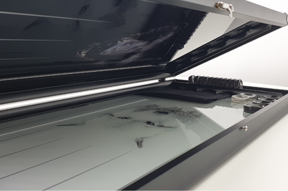 בלעדי: "דו קרב של טבע (זאב ודוב)" — גבקgammon מזכוכית מחוסמת